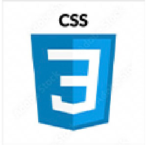 css-icon